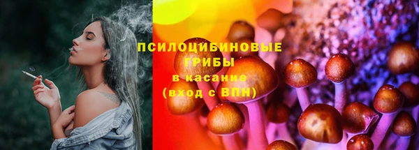 прущая мука Арсеньев