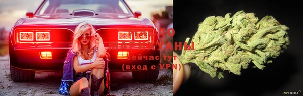 прущая мука Арсеньев