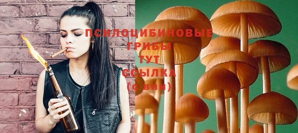 прущая мука Арсеньев